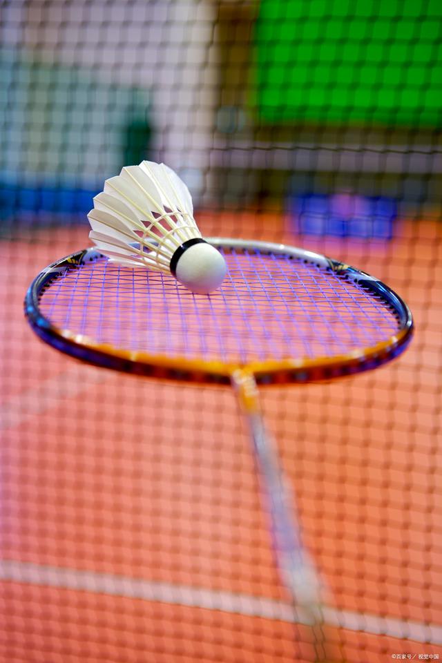 吸引了大量 吸引了大量