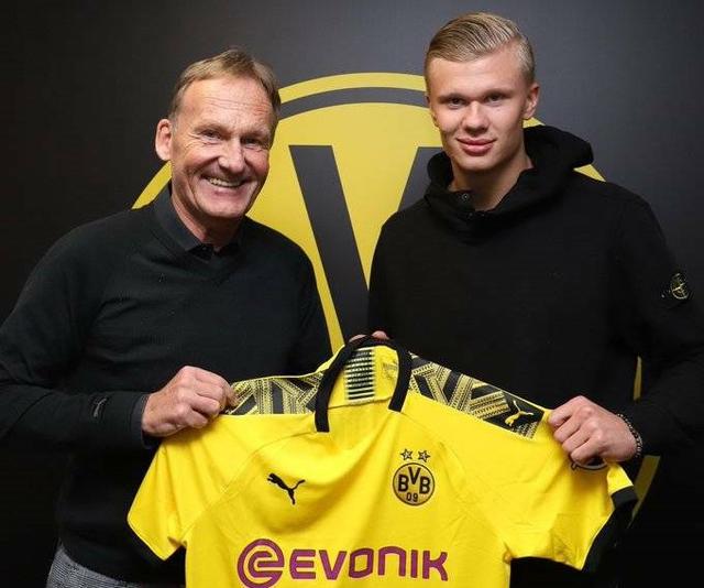 同线被AO 同线被AO