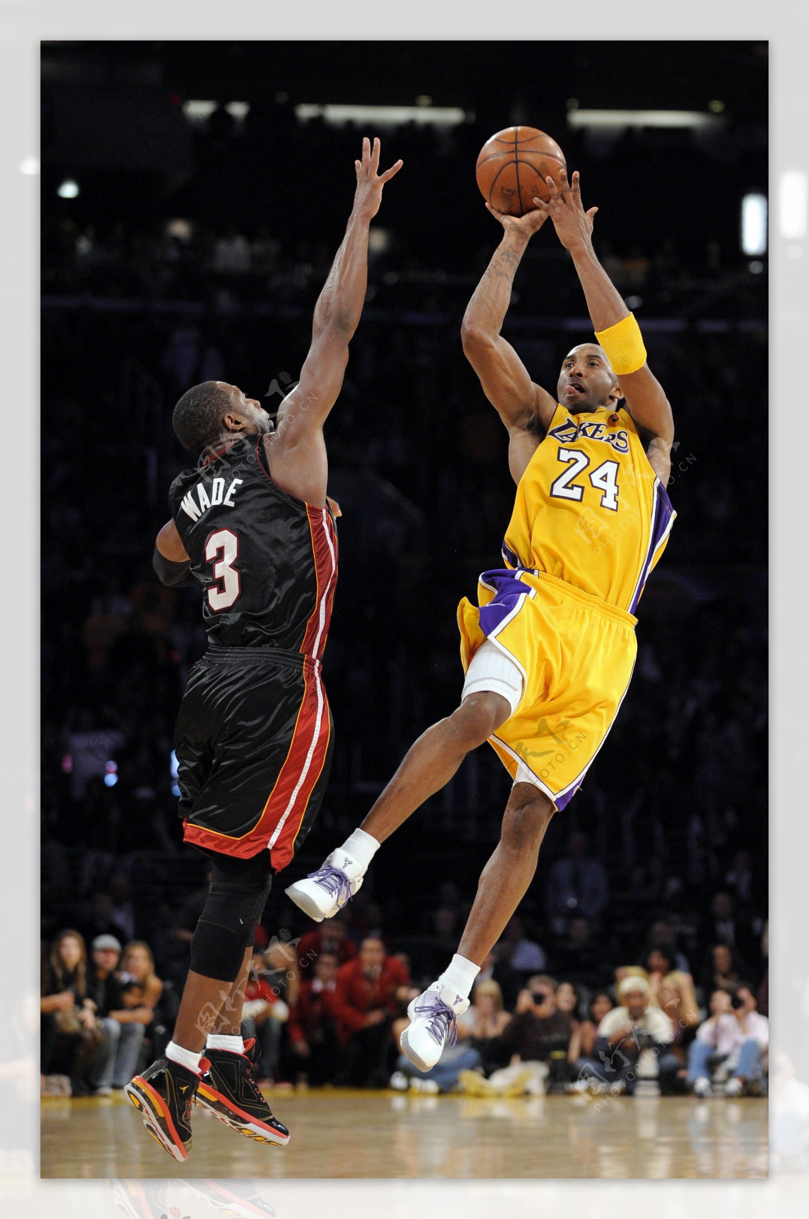 自然融合 自然融合